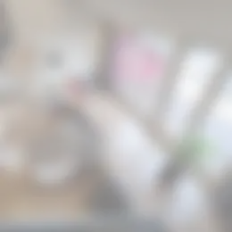 Appartement Foto #0 te huur bij Huurstunt