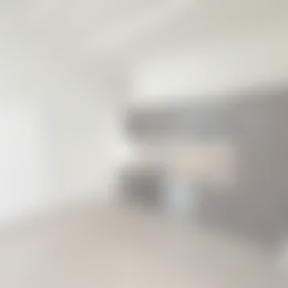 Appartement Foto #0 te huur bij Huurstunt