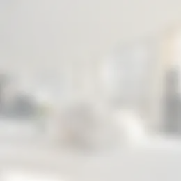 Foto #9 Appartement Johan de Wittstraat Wassenaar