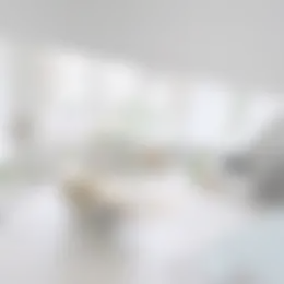 Foto #1 Appartement Noordeinde Leiden