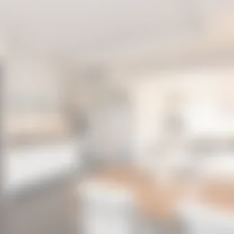 Appartement Foto #0 te huur bij Huurstunt