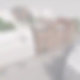 Appartement Foto #0 te huur bij Huurstunt