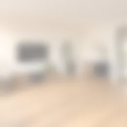 Foto #2 Appartement Koekebakkersteeg Alphen aan den Rijn