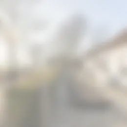 Foto #26 Huurwoning Oostdijkseweg Goedereede