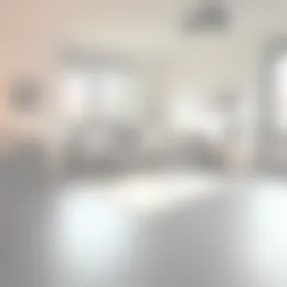 Appartement Foto #0 te huur bij Huurstunt