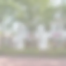 Appartement Foto #0 te huur bij Huurstunt