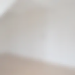 Foto #11 Huurwoning Midden Wapserveen
