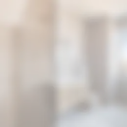 Foto #1 Appartement Klimopstraat Den Haag