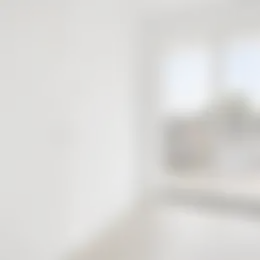 Foto #13 Appartement Kalverstraat Goirle