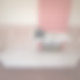 Appartement Foto #0 te huur bij Huurstunt
