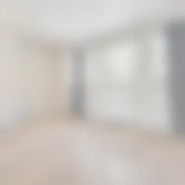 Foto #1 Appartement Molenstraat Den Haag