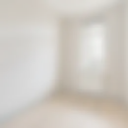 Foto #12 Appartement Molenstraat Den Haag