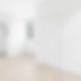 Foto #27 Appartement Van Boetzelaerlaan Den Haag