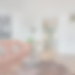 Appartement Foto #0 te huur bij Huurstunt