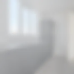 Foto #9 Appartement Moerheimstraat Dedemsvaart