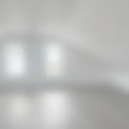 Foto #17 Appartement Moerheimstraat Dedemsvaart