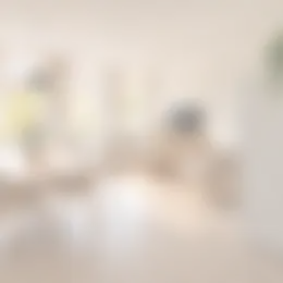 Appartement Foto #0 te huur bij Huurstunt