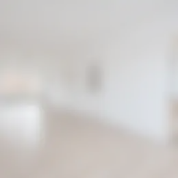 Foto #1 Appartement Kerklaan Rijswijk