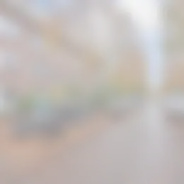 Foto #17 Appartement Kerklaan Rijswijk