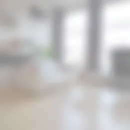 Foto #3 Appartement Ketelboetersteeg Leiden