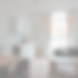 Appartement Foto #0 te huur bij Huurstunt