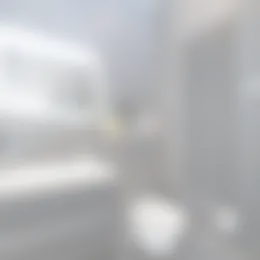 Foto #17 Huurwoning La Meye Amsterdam