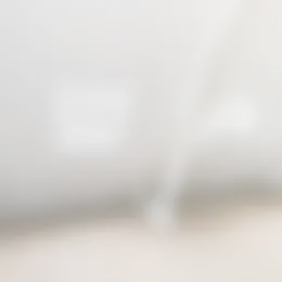 Kamer Foto #0 te huur bij Huurstunt