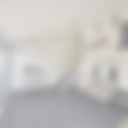 Appartement Foto #0 te huur bij Huurstunt