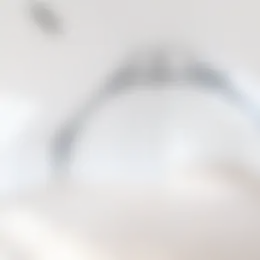 Appartement Foto #0 te huur bij Huurstunt