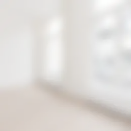 Foto #10 Appartement Denneweg Den Haag