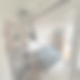 Kamer Foto #0 te huur bij Huurstunt