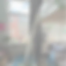 Kamer Foto #0 te huur bij Huurstunt