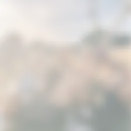 Kamer Foto #0 te huur bij Huurstunt