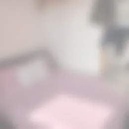 Kamer Foto #0 te huur bij Huurstunt