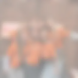 Kamer Foto #0 te huur bij Huurstunt