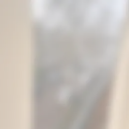 Kamer Foto #0 te huur bij Huurstunt