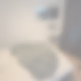 Kamer Foto #0 te huur bij Huurstunt