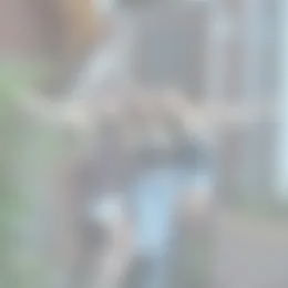 Kamer Foto #0 te huur bij Huurstunt