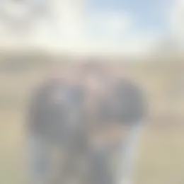 Kamer Foto #0 te huur bij Huurstunt