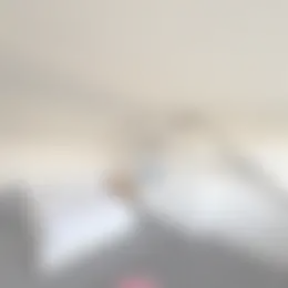 Kamer Foto #0 te huur bij Huurstunt