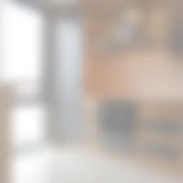 Foto #2 Appartement Melissekade Utrecht