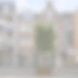 Appartement Foto #0 te huur bij Huurstunt