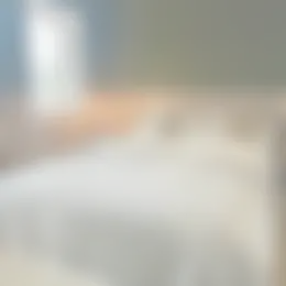 Kamer Foto #0 te huur bij Huurstunt