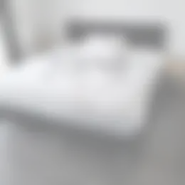 Appartement Foto #0 te huur bij Huurstunt