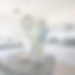 Appartement Foto #0 te huur bij Huurstunt