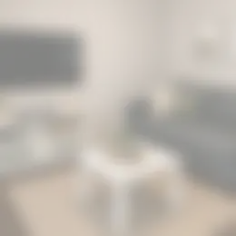 Kamer Foto #0 te huur bij Huurstunt