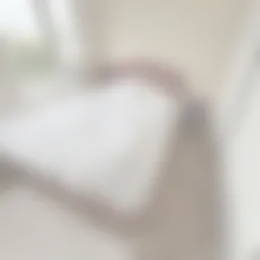 Kamer Foto #0 te huur bij Huurstunt