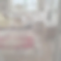 Appartement Foto #0 te huur bij Huurstunt