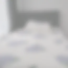 Kamer Foto #0 te huur bij Huurstunt