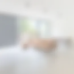 Appartement Foto #0 te huur bij Huurstunt